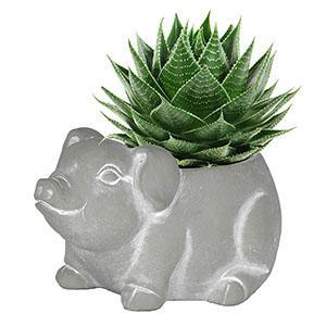 Classic Concrete Buddies - Piglet Planter Small Natural - 81791570