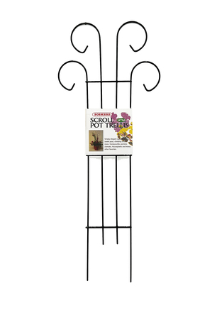 Bosmere - 18" x 8" Houseplant Trellis - L510 82010676