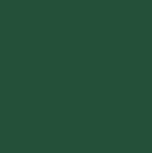 Jillson & Roberts - Tissue Paper Solid - Hunter Green - FT25