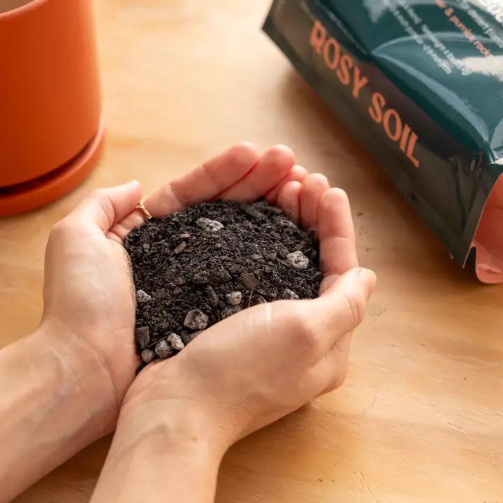 Rosy Soil - Bulk Organic Soil Mix, Indoor, Houseplant & Herb - HP1C (By the lb)