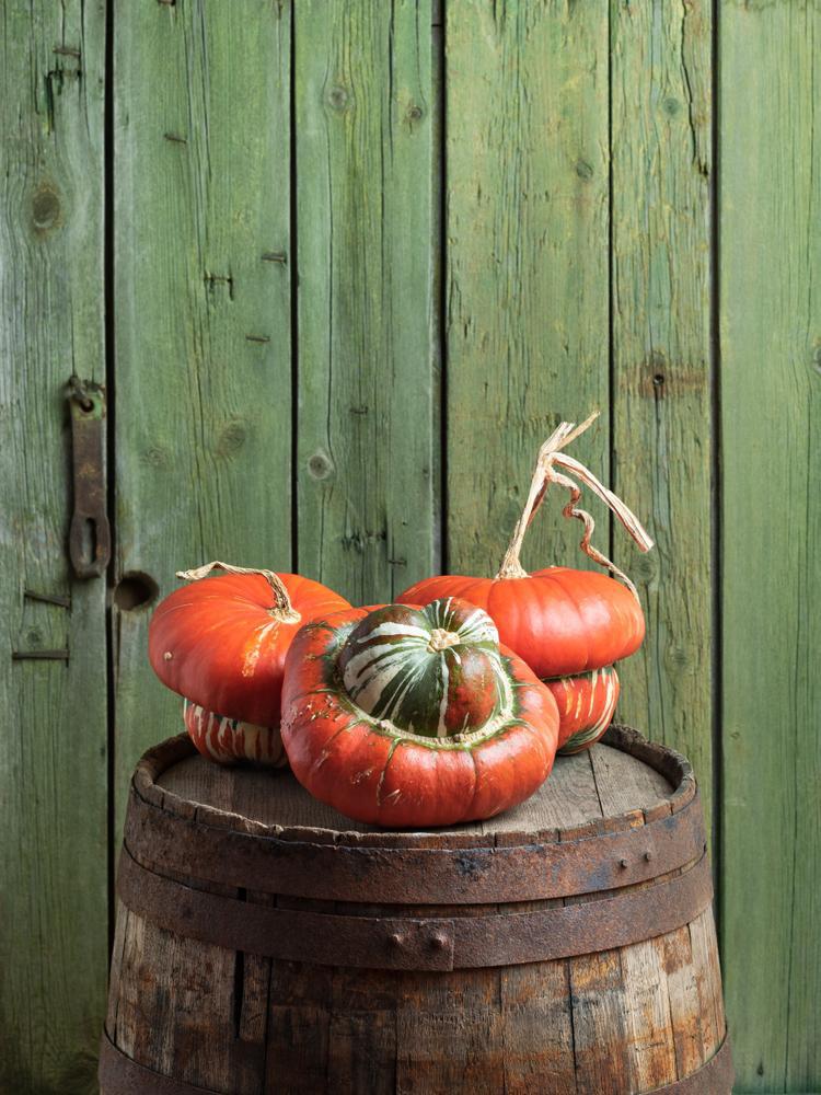 Squash - Turks Turban - Local