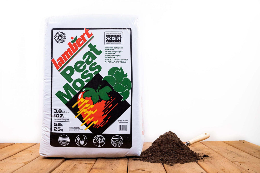 Lambert Peat Moss Bale 3.8 CF 81940032