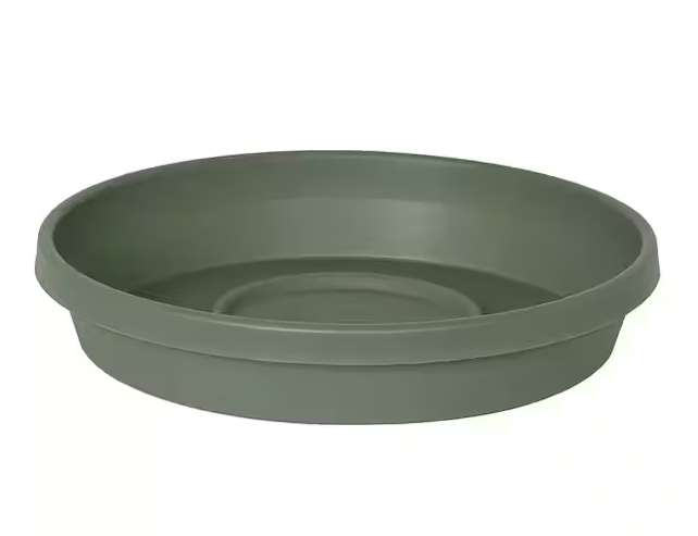 Bloem - 16" Basil Terra Saucer - STT1641 80922634