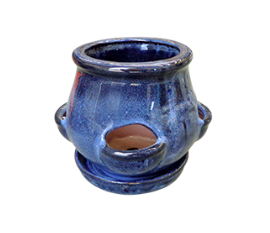 7" Cactus Jar - Blue - SJ581-07 MB