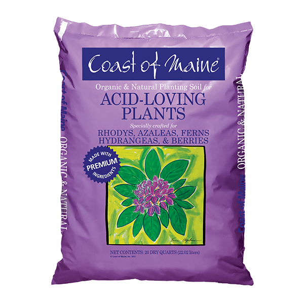 COAST OF MAINE ACID-LOVING PLANTS 20 QT 81600118