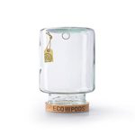 6" Glass Micro Terrarium Eco Pod - HG13022