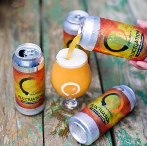 Equilibrium Brewery - Fluctuations DIPA - 4 Pack 16 oz Cans - 2040463