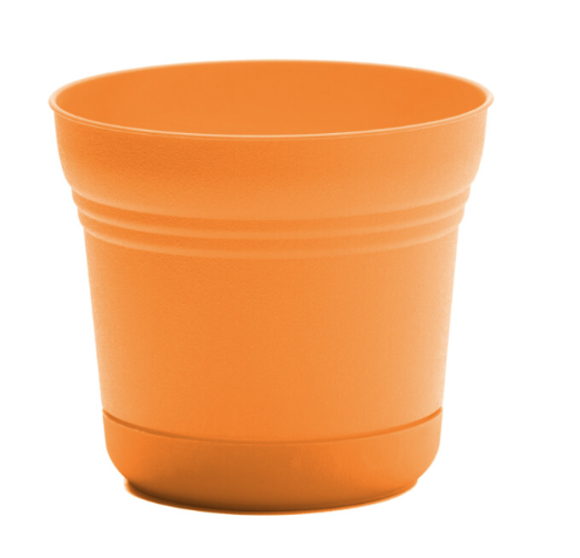 Bloem - 10" Saturn Mango Planter - SP1019 80922608