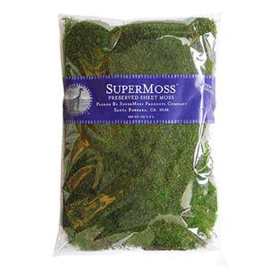 SuperMoss 8oz Sheet Moss Preserved Fresh Green Bagged 802300010
