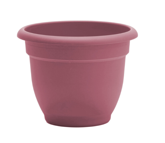 Bloem - 6" Ariana Dusty Rose Planter - AP0634 80922436