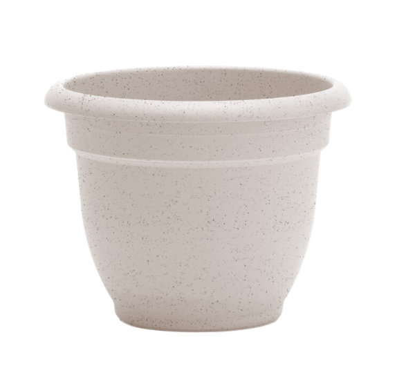 Bloem - 6" Ariana Vanilla Bean Planter - AP0682 80922441