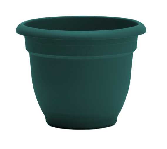 Bloem - 6" Ariana Charleston Green Planter - AP0653 80922438