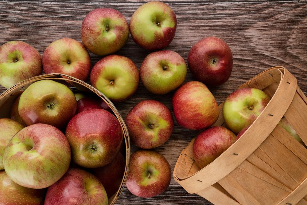 Apples - Macoun ( Local Hollis, NH ) by the pound