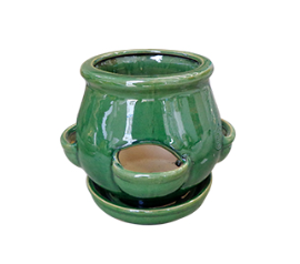 7" Cactus Jar - Green - SJ581-07 CLG