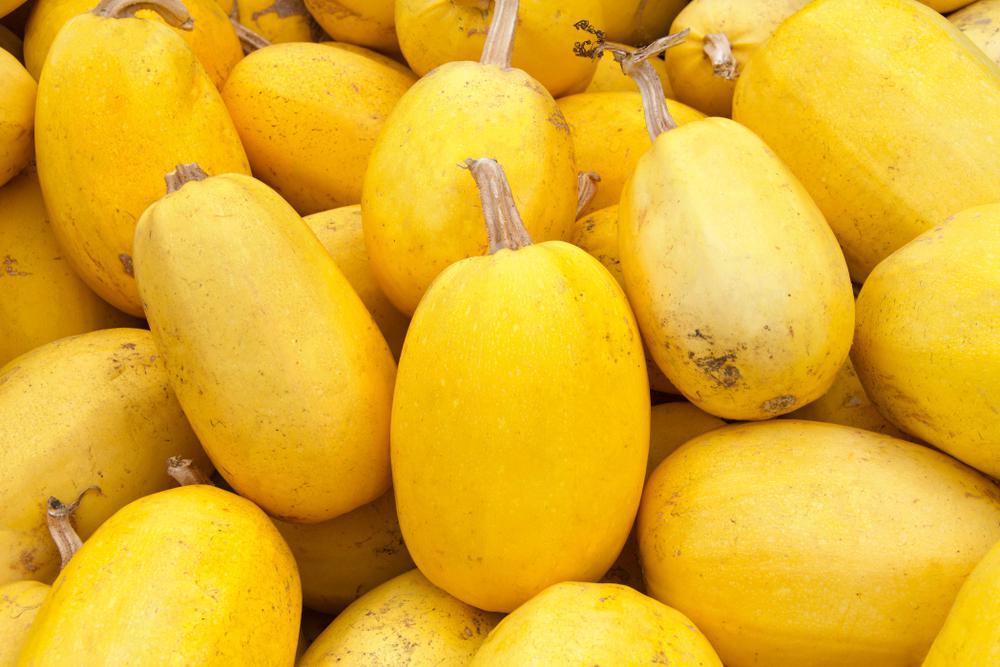 Squash - Winter - Spaghetti (Local, Hollis, NH) by the pound