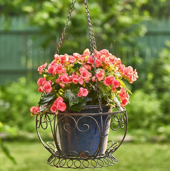 28.35" Long Hanging Iron Basket Planter in Antique Bronze "Paris 1968" - ZR180315-BZ