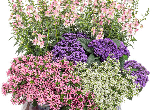 13" Belmont PW #1199 Fashion Canvas Combination Planter