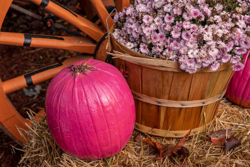 Mum Combination 1/2 Half Bushel Basket