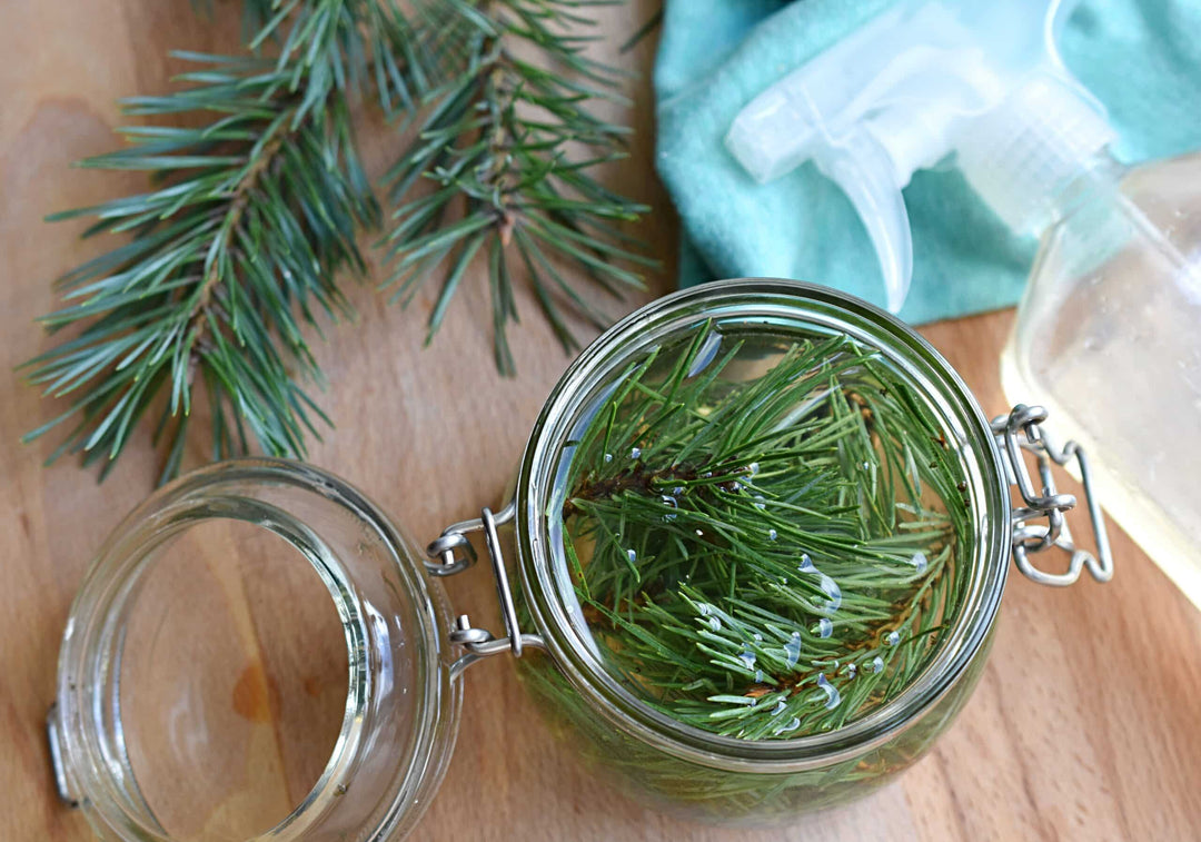How to Make Pine Disinfectant Cleaner from Scratch