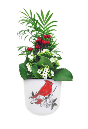 5.5" Mary Garden MARY201 S0328