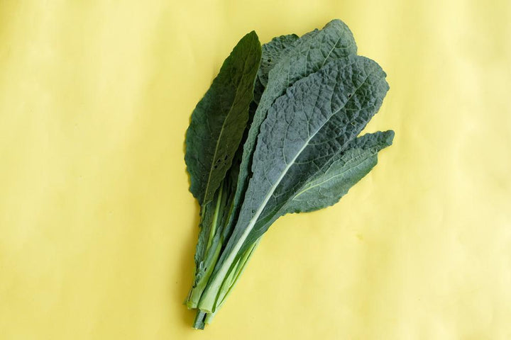 1G Kale 'Toscano' - Dinosaur Kale - 1007705