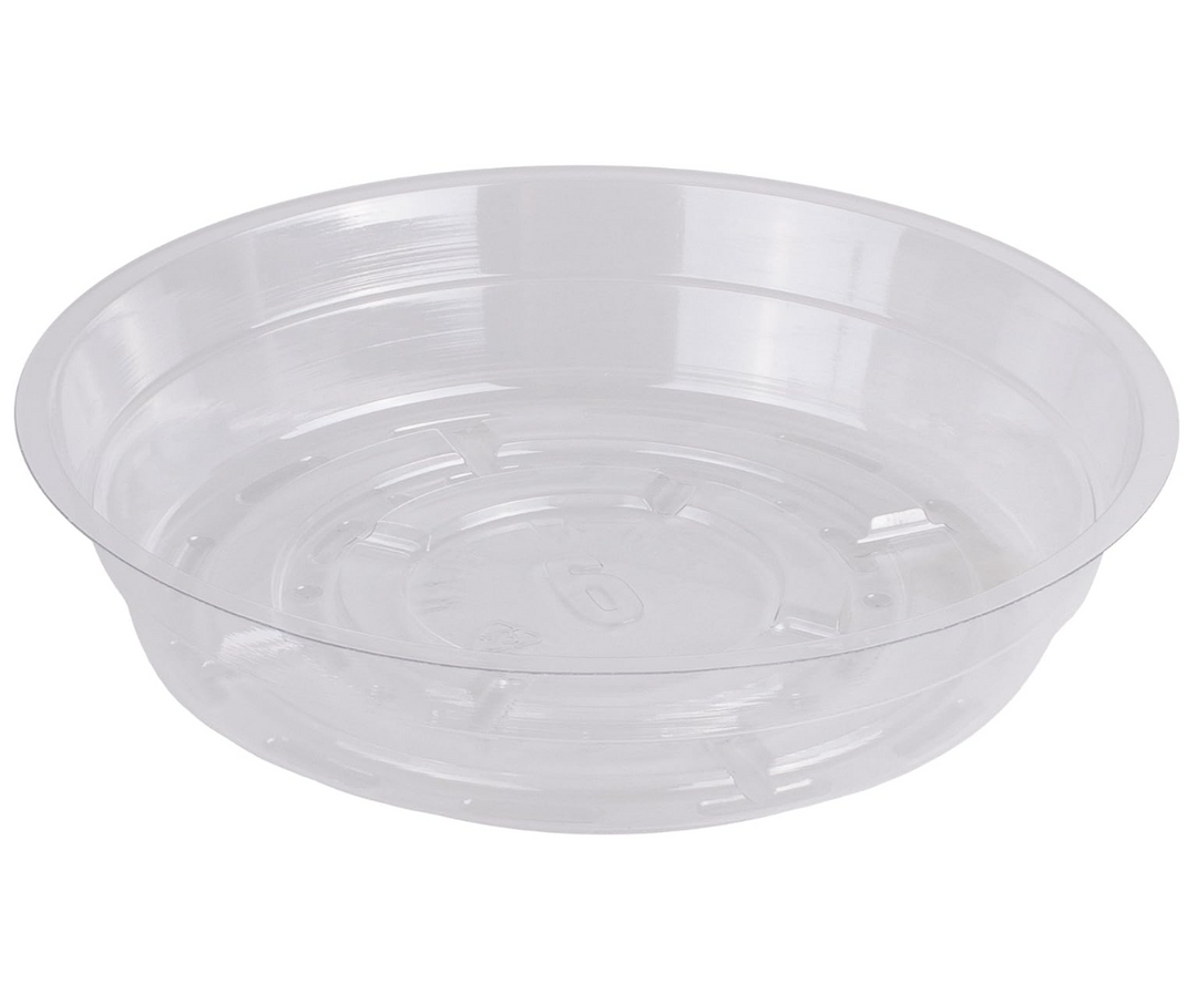 Curtis Wagner - 6" Clear Vinyl Plant Saucer CW-600N - 81080027