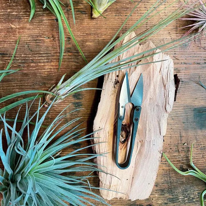 Seattle Seed Co. - Herb Snips - SNIP-SMALL
