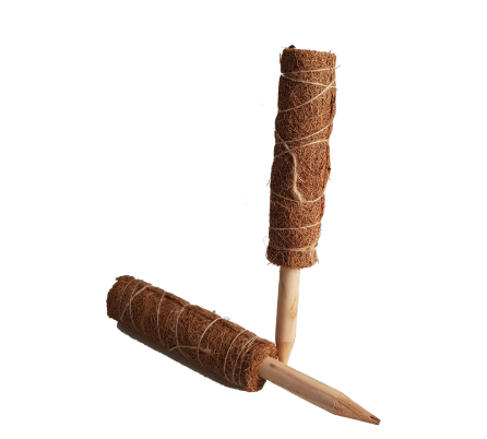 Stake Coconut - 40cm/16" Stackable Single - HG10494