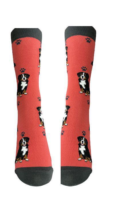 E&S Pets - Bernese Mt. dog Full Body Socks 800 FB-52