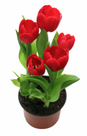 10" Bulb Pan Tulip - Red