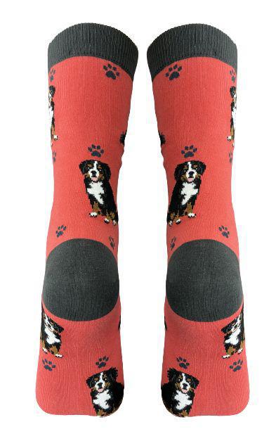 E&S Pets - Bernese Mt. dog Full Body Socks 800 FB-52