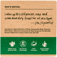 Dr. Squatch - Spearmint Basil Scrub - Bar Soap wh-bar-sbs