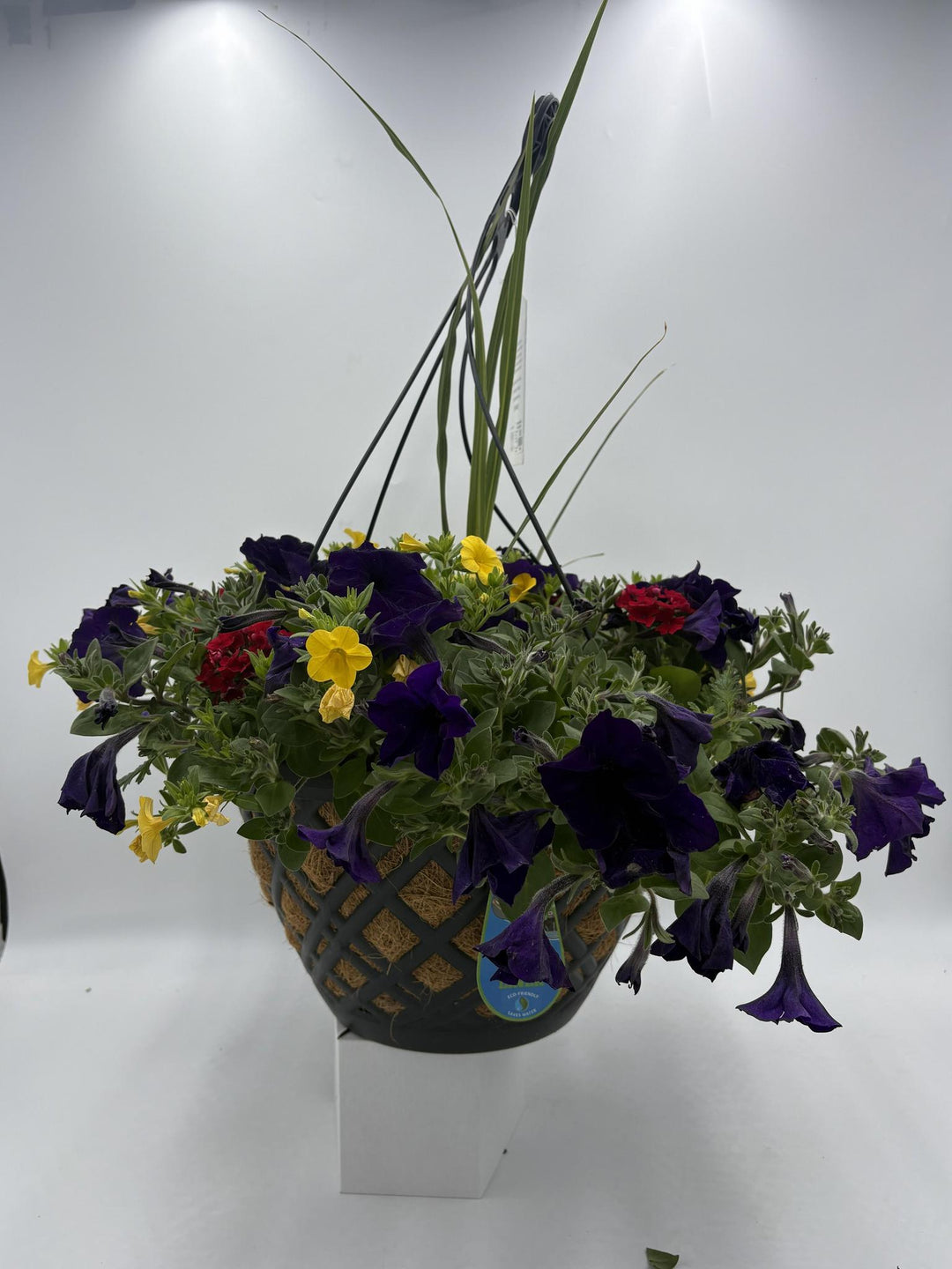 14" MB Combination (Cocoa Liner Hanging Basket) Locally Delivered