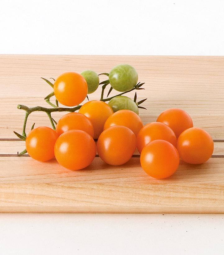 1G Tomato 'Sungold' - Cherry Tomato - 1004991