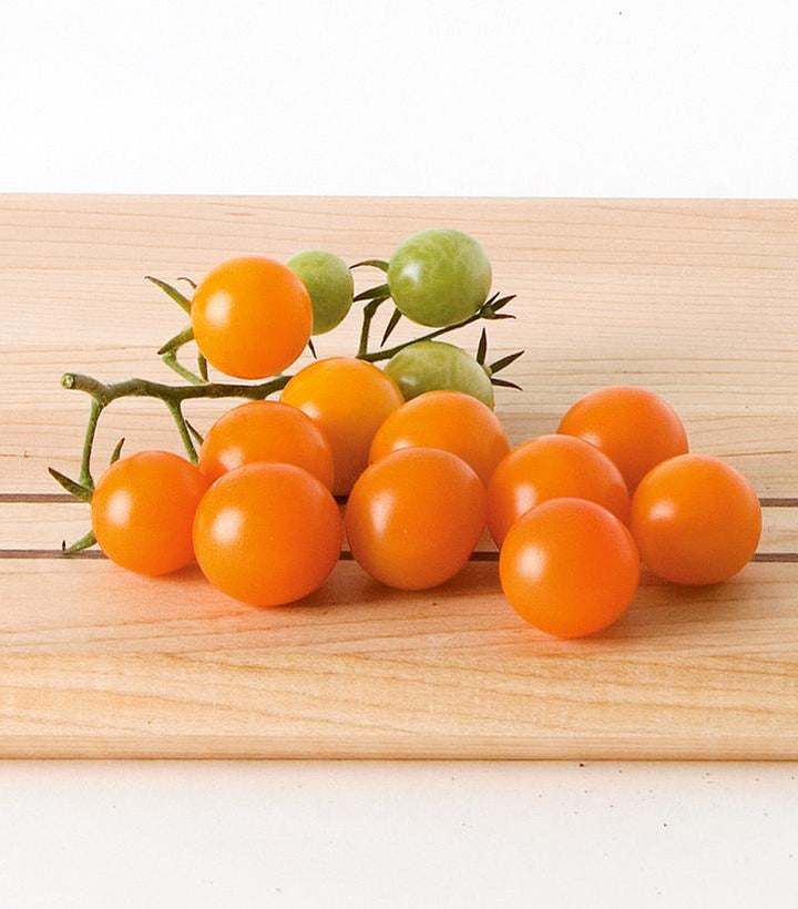 1G Tomato 'Sungold' - Cherry Tomato - 1004991