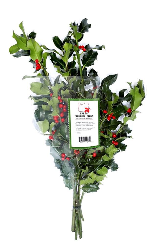 Berried Green Holly 4-5 Stems Sleeved 5530