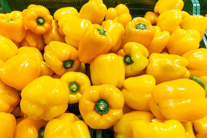 1G Pepper `Golden Bell` - Sweet Bell Pepper - 1004976