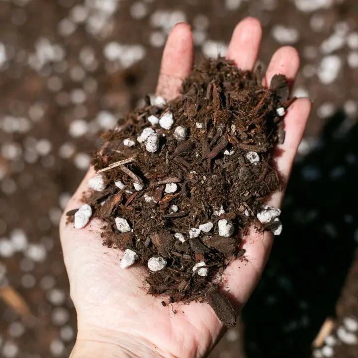 Ivy May Co - Bulk Soil - Premium Houseplant & Aroid Potting Mix