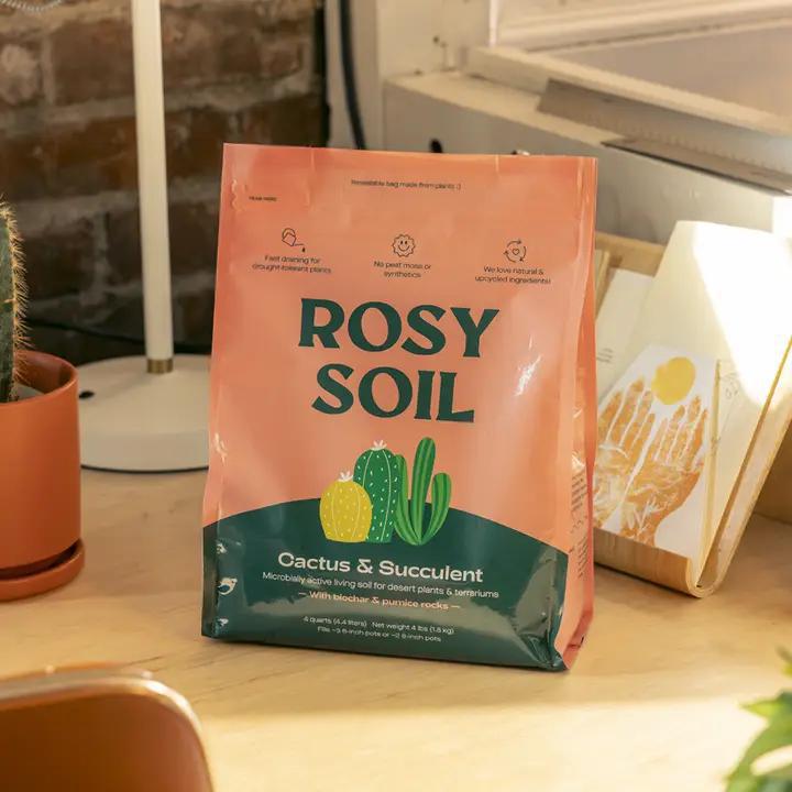 organic succulent soil Rosy Soil Cactus & Succulent Mix, 4 qt