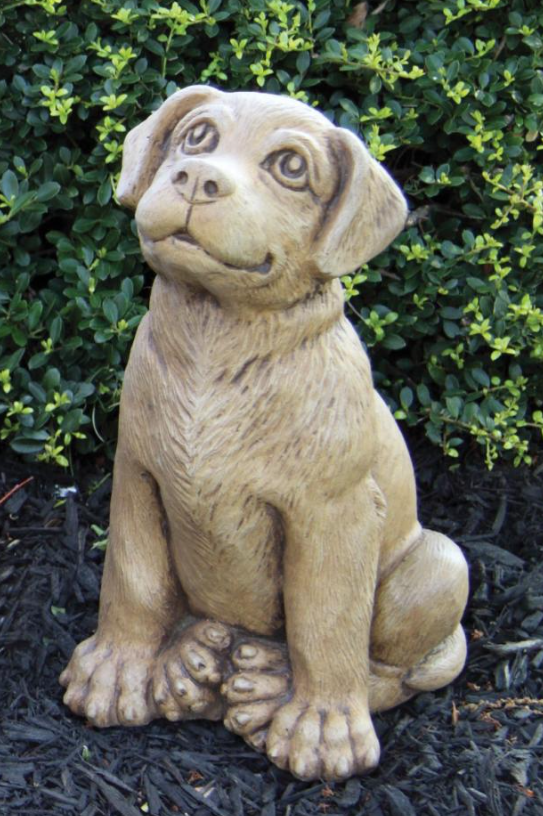 13" Puppy - Labrador Retriever - 2185