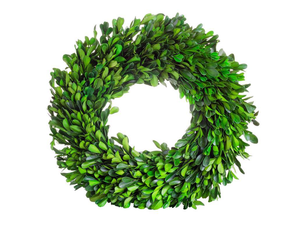 20" Virginia Double Faced Boxwood Wreath (30" OD)