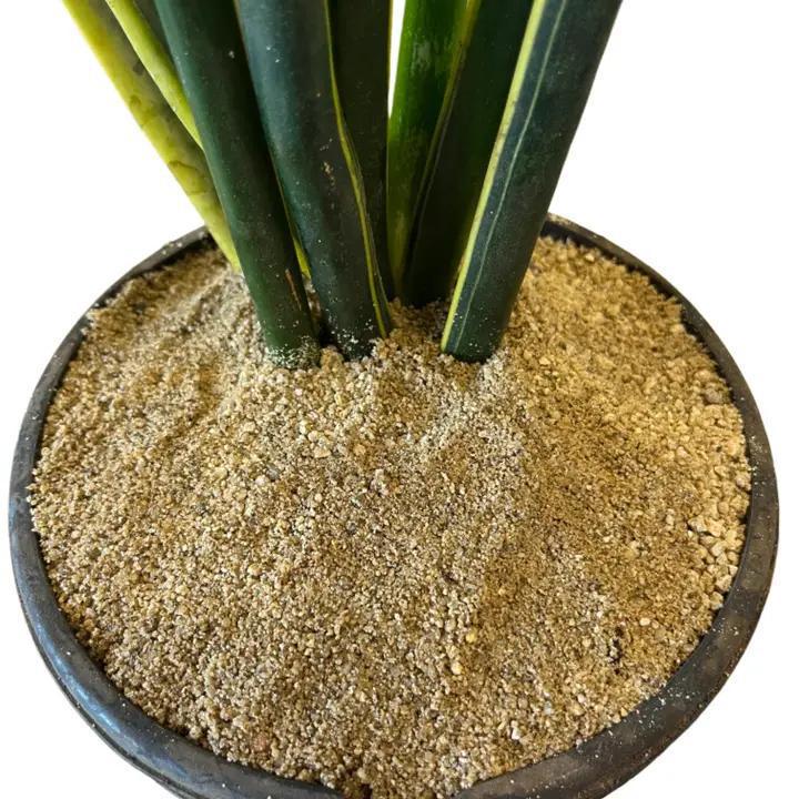 Ivy May Co - Bulk Amendments – Coarse Grade Sand For Terrariums - Gritty