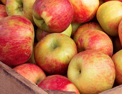 Apples - Zestar (Local Hollis, NH) by the pound