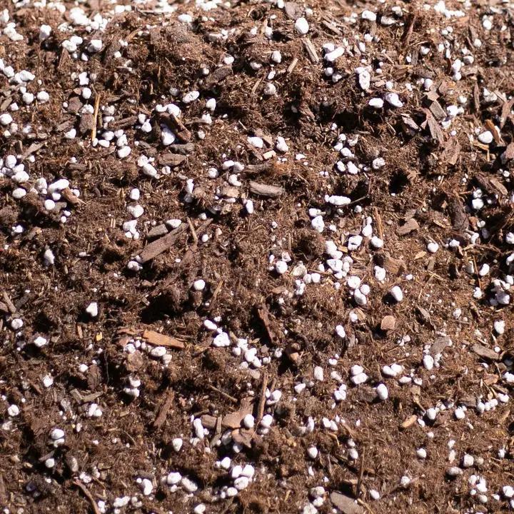 Ivy May Co - Bulk Soil - Premium Houseplant & Aroid Potting Mix