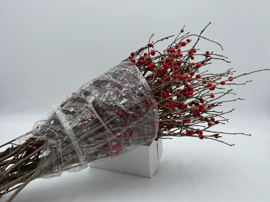 Ilex WinterBerry Bunches
