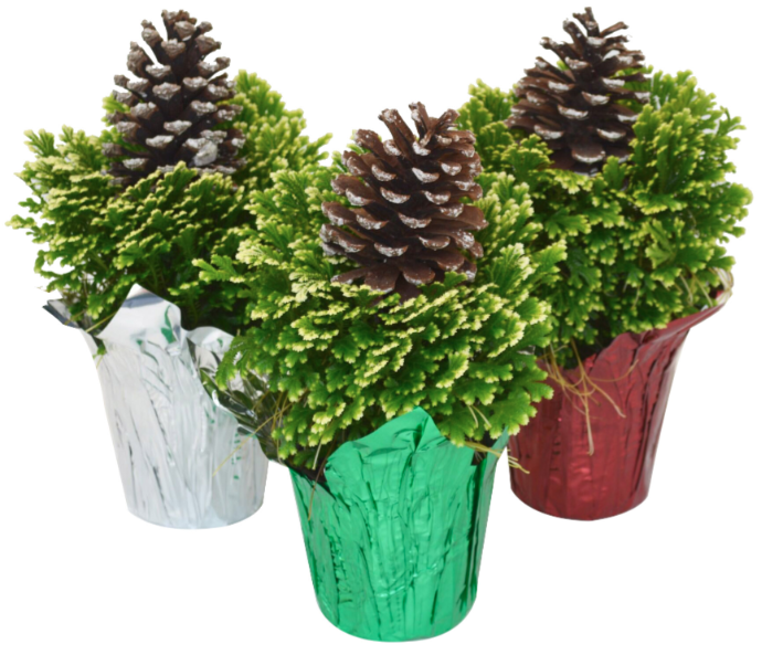 4"  Fern Winter w/PC & Pinecone Pick T0431