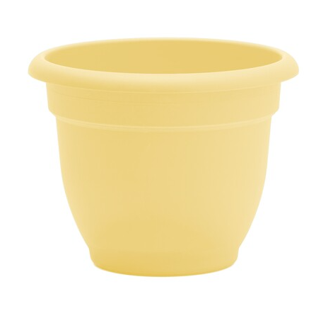 Bloem - 10" Ariana Daffodil Planter - AP1024 80921449