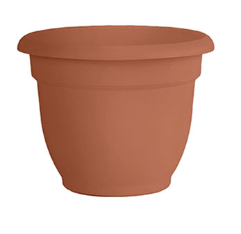 Bloem - 8" Ariana Terra Cotta Planter - 20-56108 80921375
