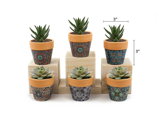 Land & Sea - Mini Pots w/ Terra Rim - MP1