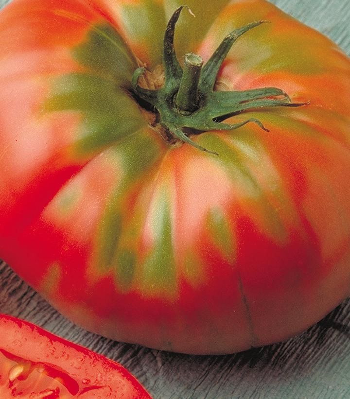 1G Tomato 'Brandywine' - Slicer - 1004994